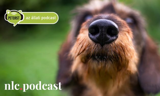 Elindult a Petcast, az állati podcast első nlc.hu-s adása