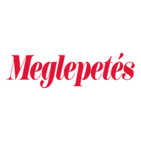 Meglepetés